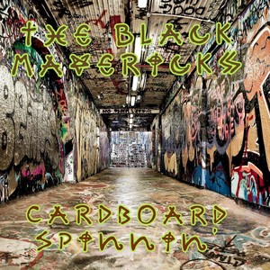 Cardboard Spinnin
