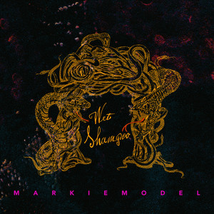 Wet Shampoo (Naked Highway Remix)