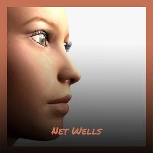 Net Wells