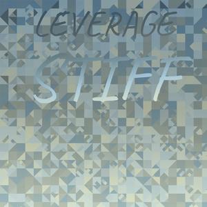 Leverage Stiff