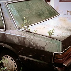 Trunk in the Junk