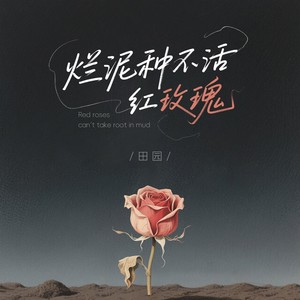烂泥种不活红玫瑰  DJ豪大大版