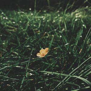 Emptiness (Explicit)