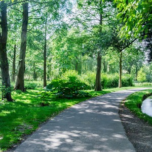 青春 僕(カバー) (青春 仆)