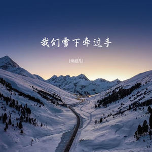 我们雪下牵过手