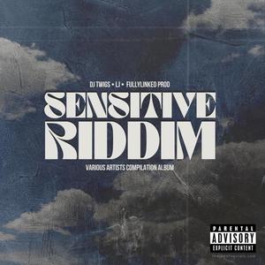 SENSITIVE RIDDIM VARIOUS ARTISTS COMPILATION ALBUM (Explicit)