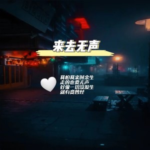 来去无声
