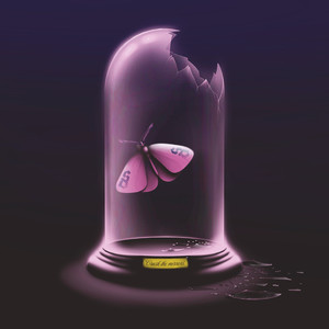 Crush The Mirrors (feat. Chunk! No, Captain Chunk!) (Explicit)