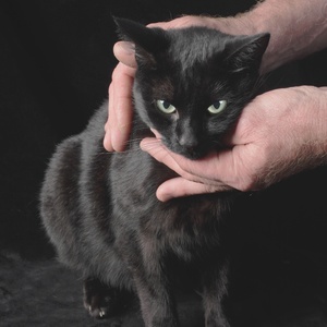 We're Not Gonna Be the Same Again