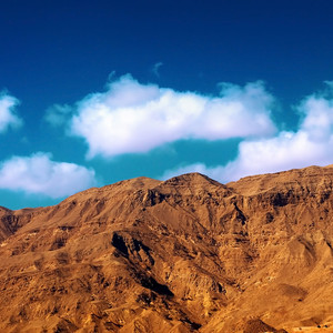 心愿便利贴-琪睿