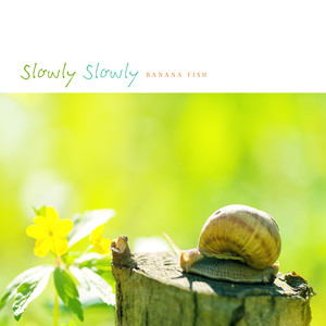 느리게 느리게 (Slowly Slowly)