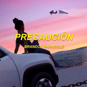 Precaución