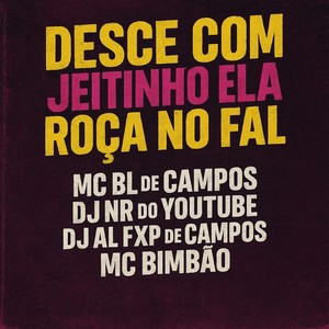 DESCE COM JEITINHO ELA ROÇA NO FAL (Explicit)