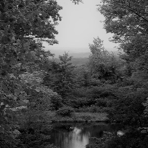 The Mysterious Wood in Winter