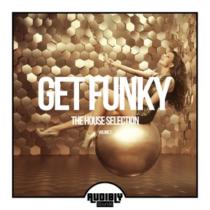 Get Funky (The House Selection), Vol. 2