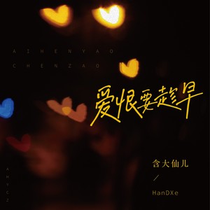 爱恨要趁早 (DJ小鑫版伴奏)封面
