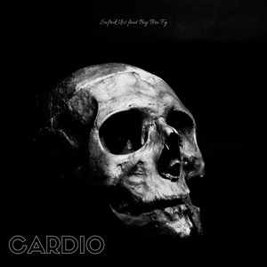 Cardio