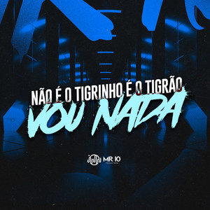 Não É O Tigrinho É O Tigrão – Vou Nada (Explicit)