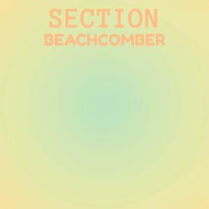 Section Beachcomber