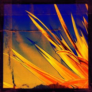 A.L.L.Y. (A Lover Like You - Remix)