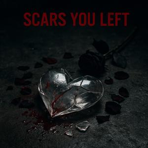 Scars You Left