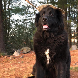 Ramstein Mix - Recording 12-7-24, 2.44.00 AM