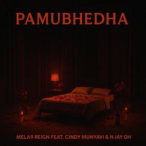 Pamubhedha (feat. Cindy Munyavi & N Jay Oh)