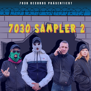 7030 Sampler 2 (Explicit)