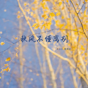 秋风不懂离别
