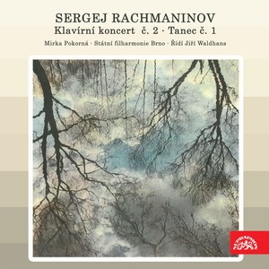 Piano Concerto No. 2 in C-Sharp Minor, Op. 18 - I. Moderato