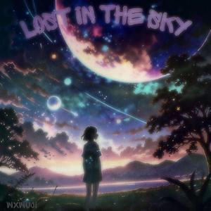 Lost in the sky