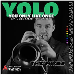 Yolo - You Only Live Once (Nefarious Vocal Dub)