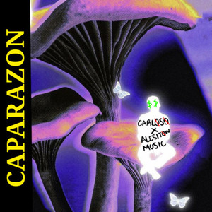 Caparazon (Twin Version)