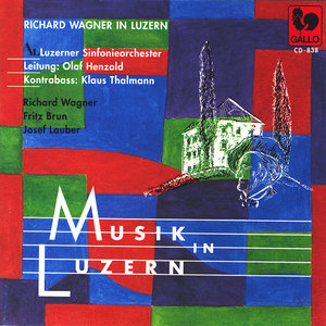 Konzert für Kontrabass und Orchester