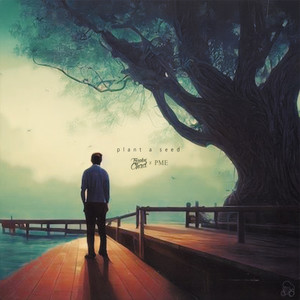 plant a seed (Explicit)