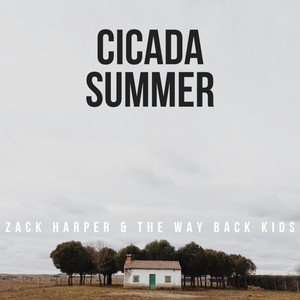 Cicada Summer (Demos)