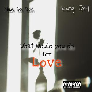 What would you do (For love) (feat. Kxng Trey) [Explicit]