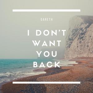 I Don't Want You Back