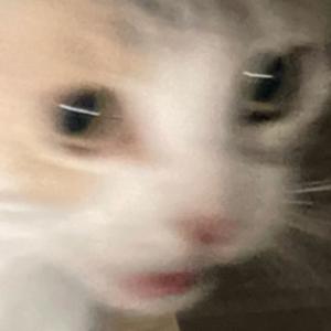 the horrible beauty of it