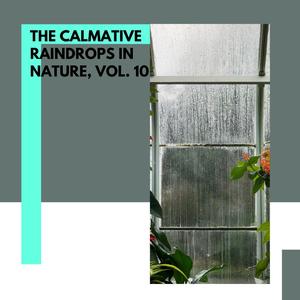 The Calmative Raindrops in Nature, Vol. 10