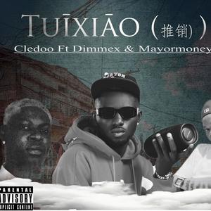 TUIXIAO (推销) (feat. Dimmex & Mayormoney)