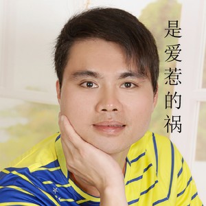 是爱惹的祸