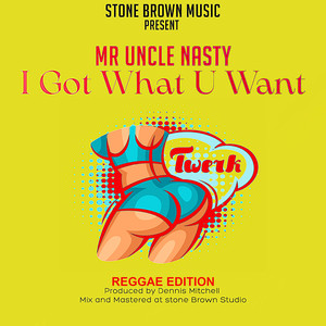 I Got What You Want (Reggae Edition) [Explicit]