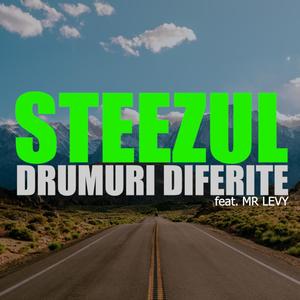 Drumuri diferite (feat. Mr. Levy)