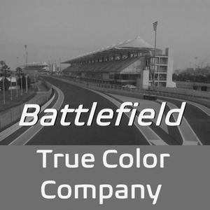 Battlefield(feat. Paulina Allberg)