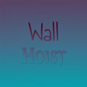 Wall Hoist