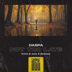 Not Too Late (Kvinn Remix)