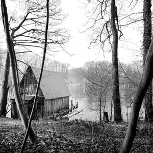 Taiga (KlangDruide Remix)