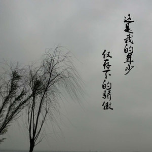 我曾负过年少