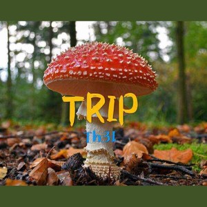 TRIP (Original Mix)